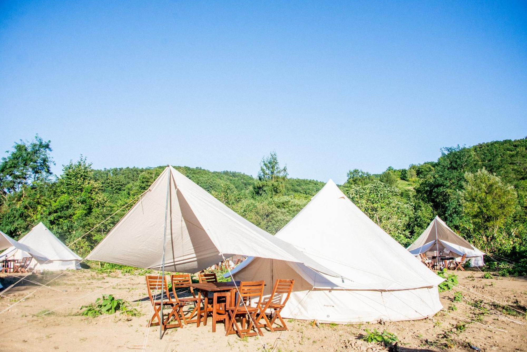 Hôtel Yoichi Vineyard Glamping Extérieur photo